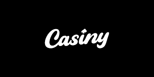 The Ultimate Guide to Casiny App Your Gateway to Online Gaming