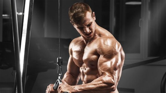 Turinabol y su Uso en la Musculación Turinabol y su Uso en la Musculación
